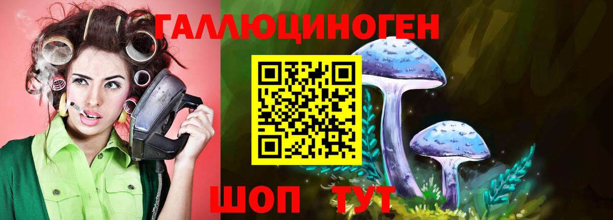 Ставрополь  Галлюциногенные грибы мицелий  Вход с VPN 